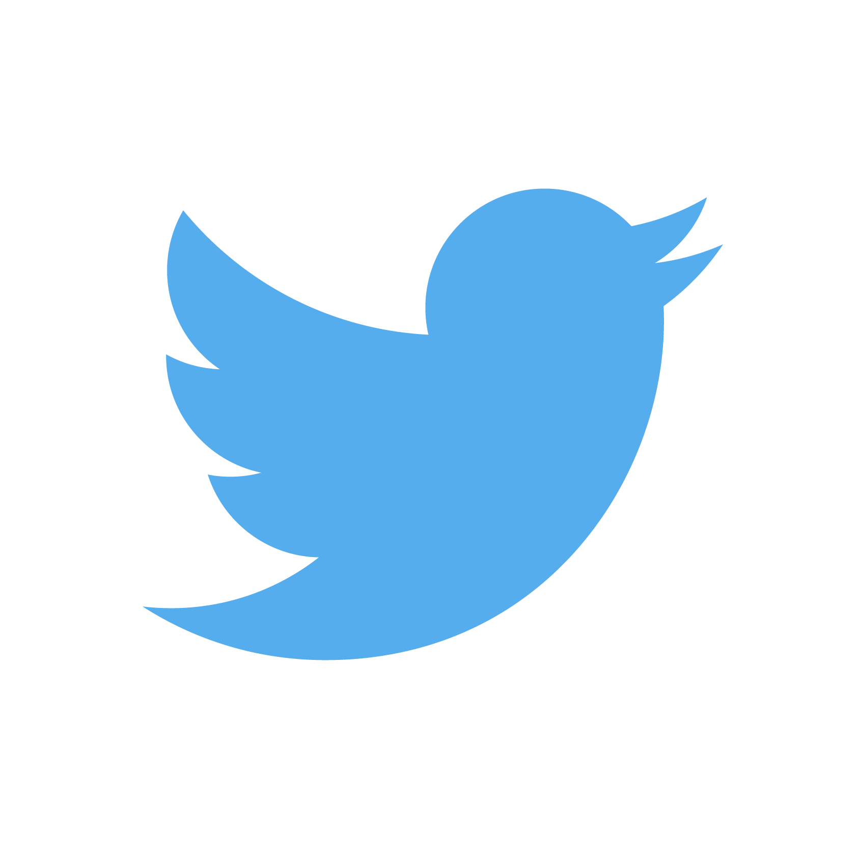 Le seul et unique logo de Twitter